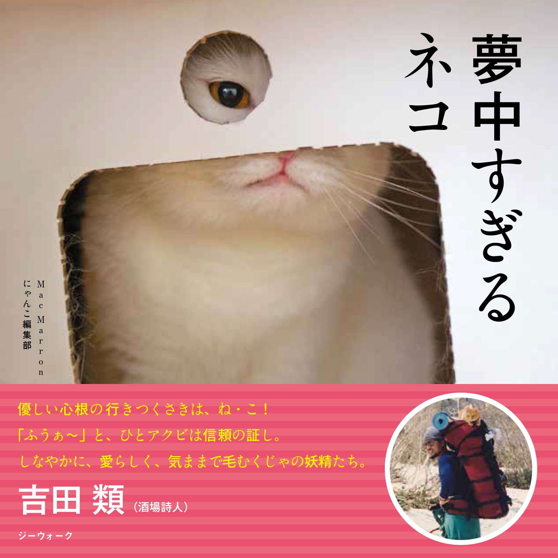 【中古】 猫の毛帖/宙出版/槇夢民 中古】 猫の毛帖/宙出版/槇夢民